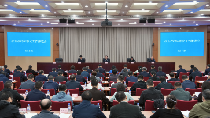 1765155590607053660.png 1.png